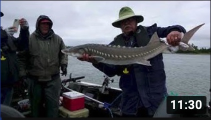 2022 - Washington Sturgeon Fishing